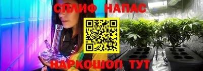 бошки Тара