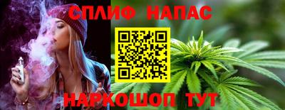 бошки Тара